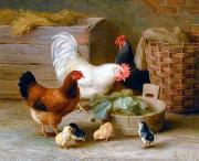 unknow artist Cocks 140 oil on canvas